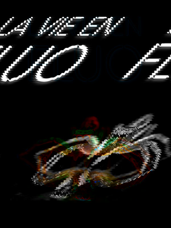 Sorry! Image not available at this time